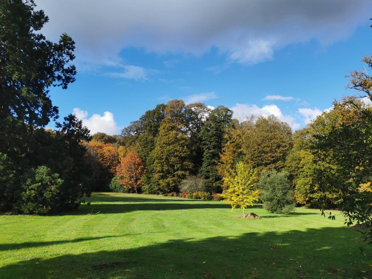 Chateau De Launay Guen Hotel Plemet Bagian luar foto