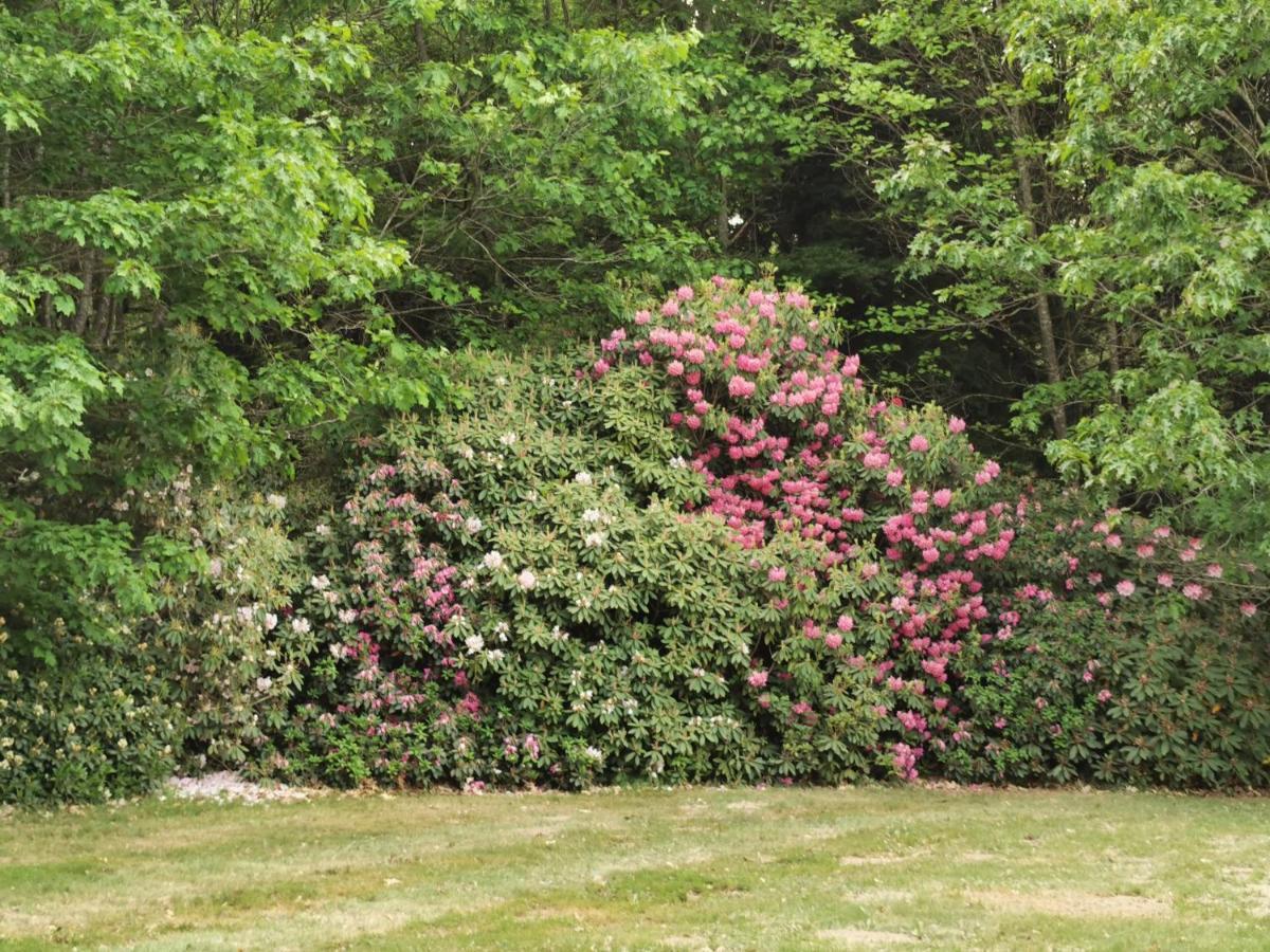 Chateau De Launay Guen Hotel Plemet Bagian luar foto