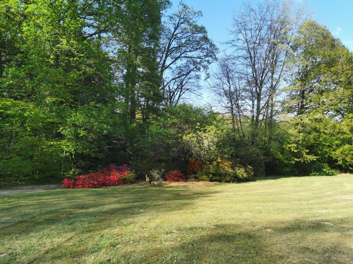 Chateau De Launay Guen Hotel Plemet Bagian luar foto